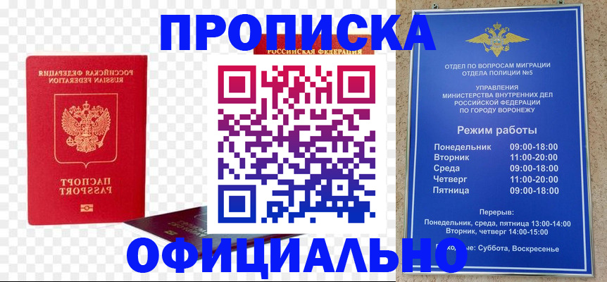 прописка иностранных граждан в Купино